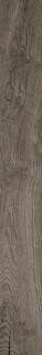 Geotiles Bricola Chocolate 20х120