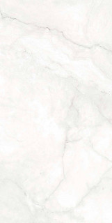 Geotiles Eterna White Satin 60x120H0.9