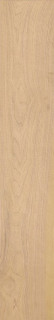Geotiles Milton Miel 15x90