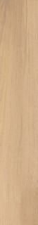 Geotiles Milton Miel 10x60