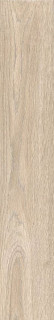 Geotiles Lenox Nut 20x120