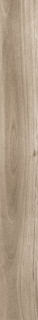 Geotiles Tabula Miel Rect 20x120