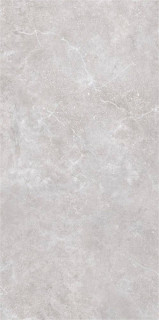 Gres De Aragon Petra Gris Liso 60x120H1