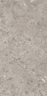 Grespania Bierzo Gris 60x120