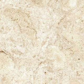 Grespania Coverlam Coralina Blanco 5,6 mm 120x120