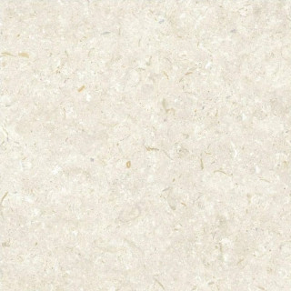 Grespania Fosil Bone 60x60