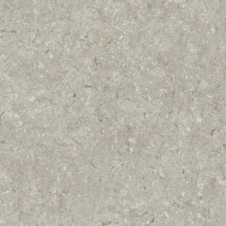 Grespania Fosil Gris 60x60