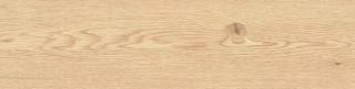 Halcon Atlantis Beige Porc. 24х88