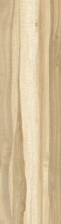Halcon Sherwood Beige Porc. 24х88