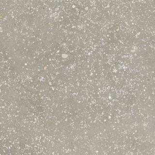 Harmony Cosmos Green Sp 22.3x22.3H0.9