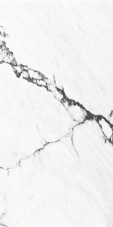 ITT Calacatta Black Polished Rect 60x120