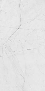 ITT Angel White Polished 60x120