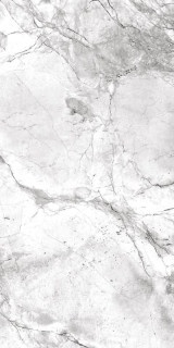 ITT Portobello Polished 60x120