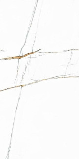 ITT Sahara Polished 60x120
