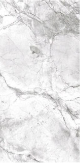 ITT Portobello Polished 60x120