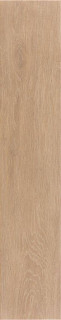 Jano Tiles Mountain Honey 23x120H0.95