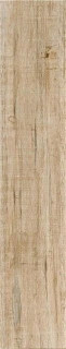 Keratile Alen Natural 23,3х120