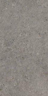 Living Ceramics Beren Dark Grey Anti-Slip 60x120H0.9