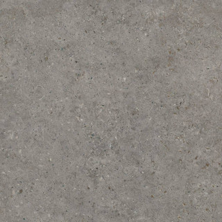 Living Ceramics Beren Dark Grey Soft 120x120