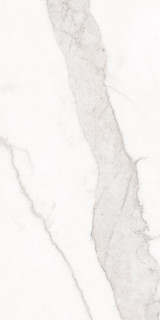 Living Ceramics Blanc Calacatta Ductile 60x120