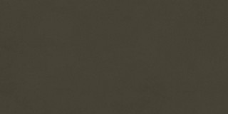 Living Ceramics Cava Green 45x90