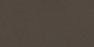 Living Ceramics Cava Brown 15x30
