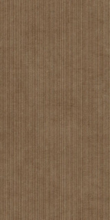 Living Ceramics Cuit Terra Reed Ductile 60x120
