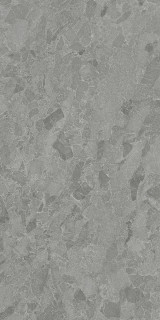 Living Ceramics Eme Grey Ductile 60x120