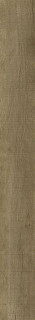 Living Ceramics Ombra Walnut 22.5x200