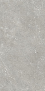 Living Ceramics Vonn Grey Ductile 60x120H0.6