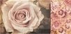 Mainzu Arkadia Decor Flower 20х10