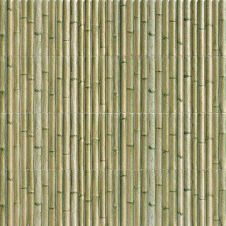 Mainzu Bamboo Green 15x30