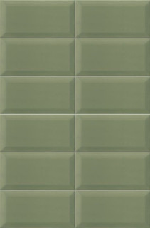 Mainzu Plus Bissel Green Olive 10х20