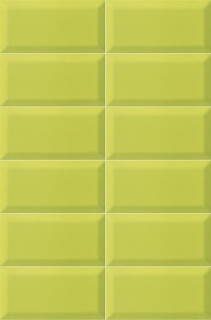 Mainzu Plus Bissel Y Green 10х20