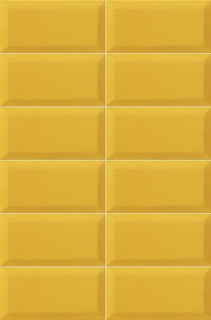 Mainzu Plus Bissel Tiger 10х20