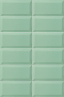 Mainzu Plus Bissel Emerald 10х20