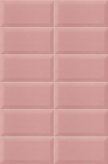 Mainzu Plus Bissel Pink 10х20