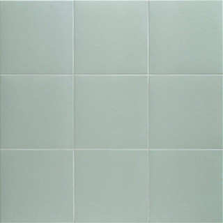 Mainzu Technical Aloe 20x20