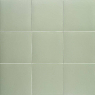 Mainzu Technical Basil 20x20