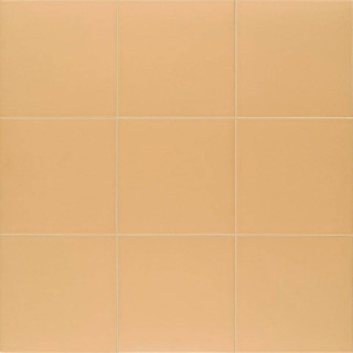 Mainzu Technical Tangerine 20x20