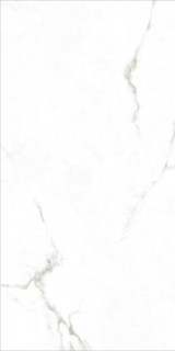 Monopole Augusta Gold 59x119
