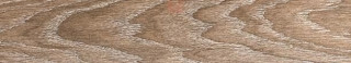 Monopole Line Oak 8х44