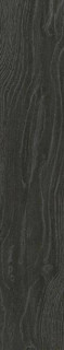 Monopole Orinoco Grafito Placket 8x44.25