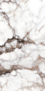Museum Breccia White EP 60x120