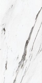 Museum Statuario Plus EP 60x120