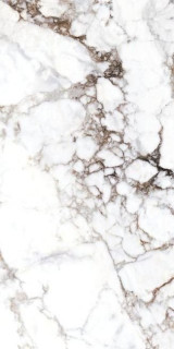 Museum Breccia White 60х120