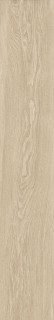 Museum Bloom Dune SP/R 24x151H0.9
