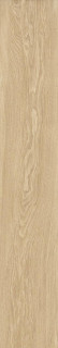 Museum Bloom Honey SP/R 24x151H0.9
