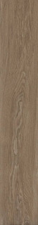 Museum Bloom Cognac SP/R 24x151H0.9