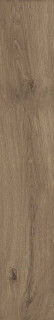 Museum Bloom Cognac AS/R 24x151H0.9